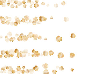 Gold seashells vector background, golden pearl bivalved mollusks. 