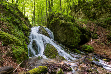 Naklejka na ściany i meble Beautiful mountain waterfall in the forest.