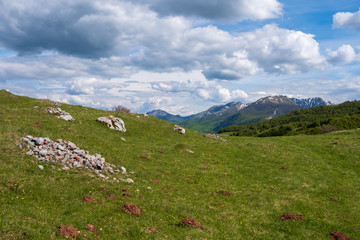 Mountain green meadow on a sunny day with blue sky