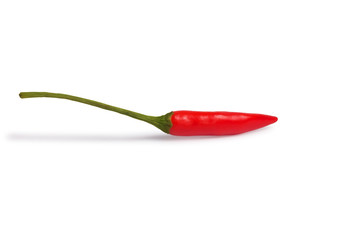 Red chilli isolated on white background
