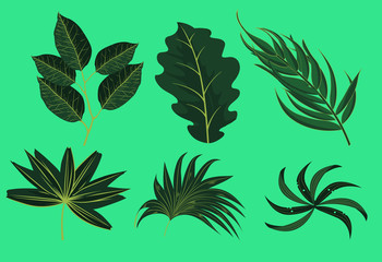 green leaf icon collection. illustration vector
