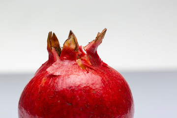 Pomegranate Opening 