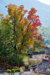 Obraz premium Tachuan village autumn landscape.