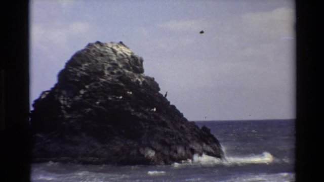 BIG SUR CALIFORNIA USA-1980: A Bird In Middle Of A Rock In The Sea