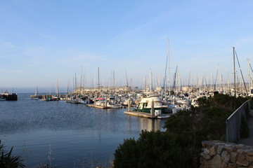 Fototapeta na wymiar Monterey Sailing Boats