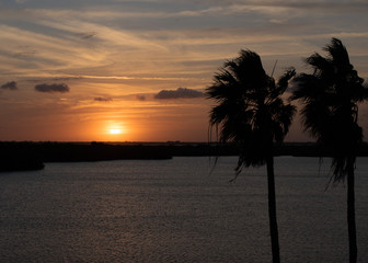 Fototapeta na wymiar Tropical Florida sunset on a river with two shadowed palm trees in the foreground.