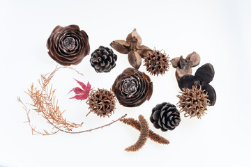 森で拾った松ぼっくりや木の実や葉っぱの集合