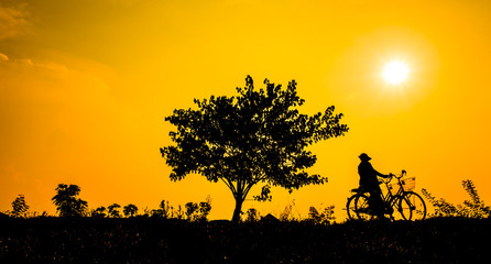 Beautiful golden sky with silhouettes trees and cyclists at sunset.