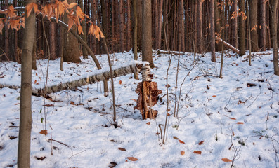 500px Photo ID: 1007445017