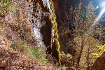 500px Photo ID: 1007445284