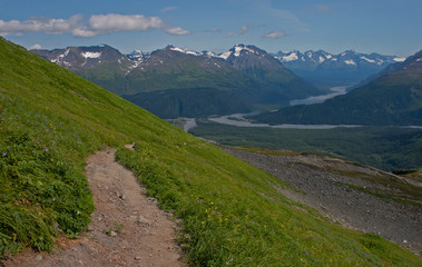 Naklejka na ściany i meble Trail to Exit Glacier, Seward, Alaska