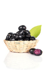 Jambolan plum or Java plum (Syzygium cumini)