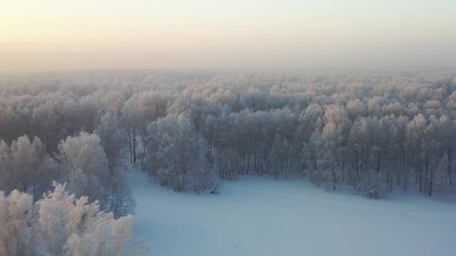 Aerial video view from drone of a Sunrise over snowy winter forest landscape. Birch forest under hoarfrost in winter season.