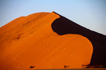 ナミブ砂漠