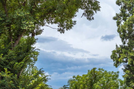 Storm clouds isolated inside a frame of a green treeline image for background use with copy space in horizontal format