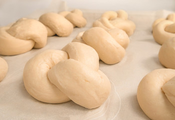 Homemade yeast buns tied up in a knot. Traditional Swiss bread recipe called Zopf or Butterzopf. The dough knots are arranged in rows on baking paper, waiting to be baked.