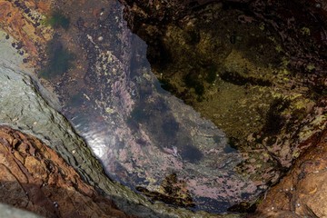 Small natural pools formed by the sea wave. Inside are some crabs or crabs and pieces of squid and fish that the crabs and or crabs were eating.