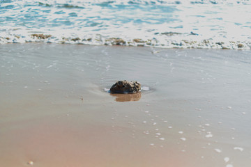 A stone sank in the sand at a beach. Which has waves washed ashore all the time during the monsoon season.