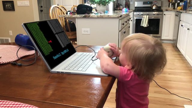 Adorable baby genius hacks in to a laptop computer and decrypts the enciphered password