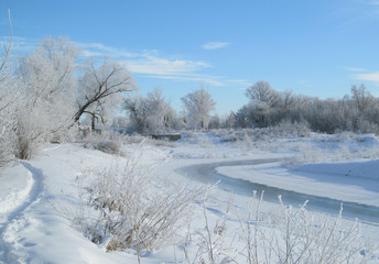 Fototapeta na wymiar Winter frosty clear day. Bend of the river. Trees and bushes in the frost.