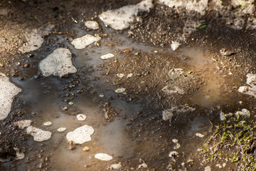Water on the road is macro, soft focus