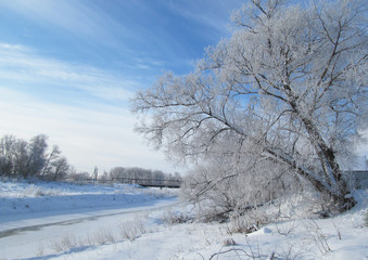 A clear winter day. River and trees all in snow