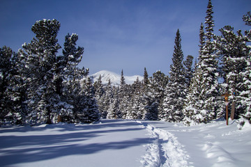 Snowshoe adventure Boulder County 12/2019