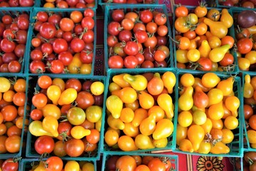 市場の新鮮なトマト