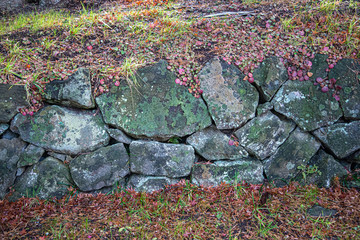 Fototapeta premium 石垣素材