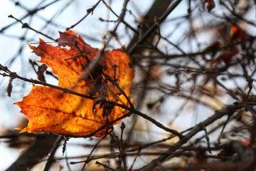 Photography of beautiful nature, landscape