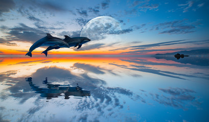 Fototapeta na wymiar Two dolphins jumping in the sea at sunset 