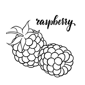 Beautiful cartoon black and white outline raspberry with lettering word raspberry. design for holiday greeting card and invitation of seasonal summer holidays, beach parties, tourism and travel.