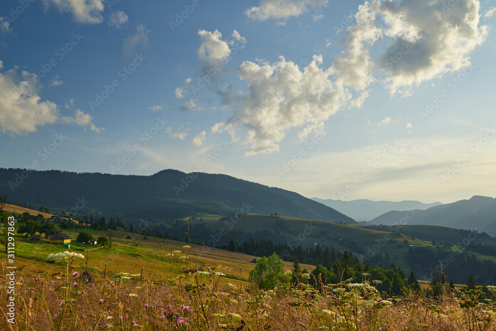 Wall mural sunset in carpathian mountains - beautiful summer landscape, spruces on hills, dark cloudy sky and b