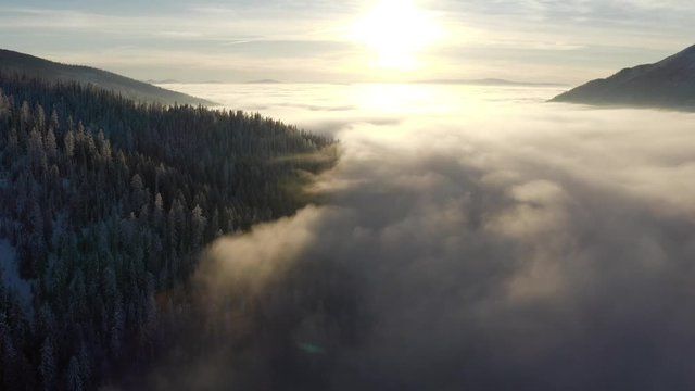 Sunset Drone pan during winter in Fernie, British Columbia