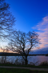 Beautiful winter landscape by the lake at sunset. Blue sky with pink clouds and trees without foliage in the foreground.