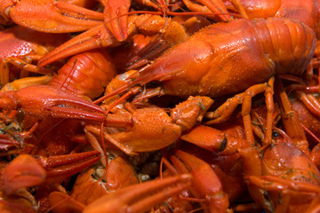 Crayfish boiled on a plate on the table before eating