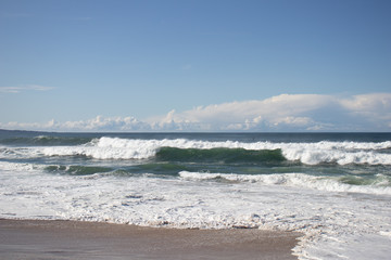 Fototapeta na wymiar Green waves at Marina State Beach Monterey County California