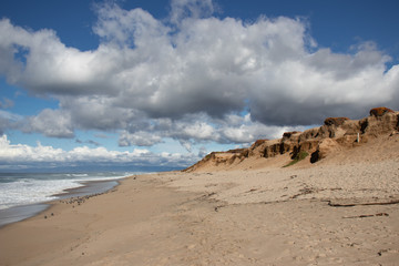 Fototapeta na wymiar Sand dunes at Marina State Beach Monterey County California