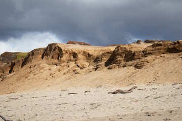 Sand dunes at Marina State Beach Monterey County California