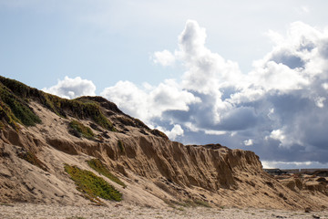 Fototapeta na wymiar Sand dunes at Marina State Beach Monterey County California