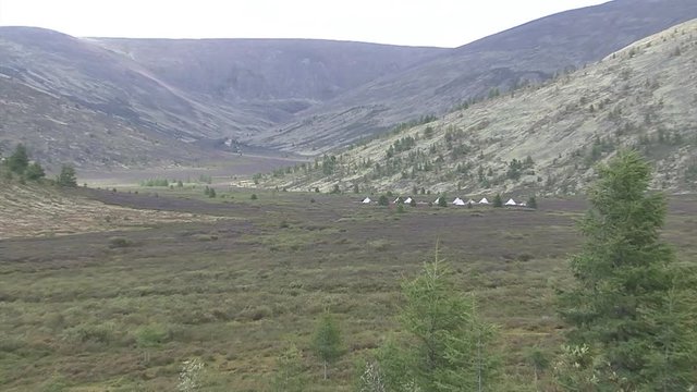 Mongolia, Darkhat basin. Settlement of reindeer herders. Deer.