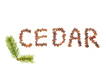 Word "CEDAR" spelled with pine nuts isolated on white background. Food pattern made from nuts. Flat lay, copy space for text