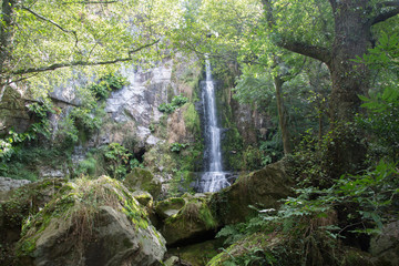 Nature at Waterfall, Villayon, Asturias