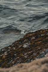 Rocky shore of the lake