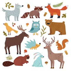 Obraz na płótnie Canvas Forest animals. Wolf, raccoon and fox, bear and owl, deer, squirrel and hedgehog, hare and beaver, elk. Wildlife vector isolated set. Illustration wild collection characters, wolf and bear