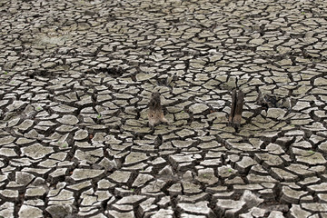 Cracked dry land without water.Abstract background