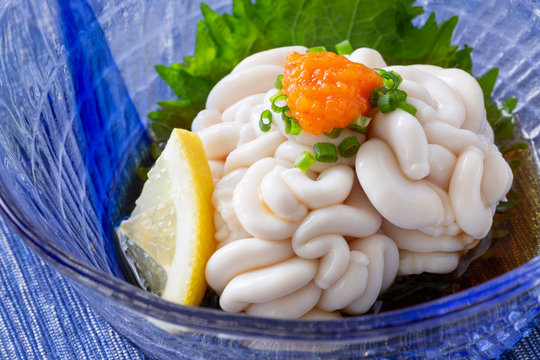 マダラ白子 Images Browse 24 Stock Photos Vectors And Video Adobe Stock