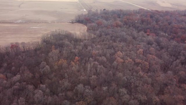 Aerial fly over view of harvested fields and timber woods in rural Illinois