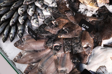 Different types of fresh fish on ice in supermarket, top view
