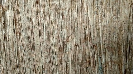 old wood texture